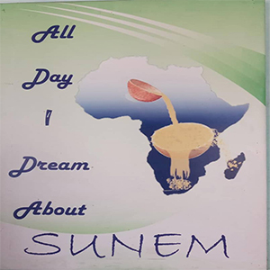 SUNEM SARL
