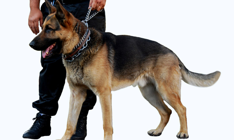 ATSR (AGENCE TOGOLAISE DE SECURITE RAPPROCHEE)