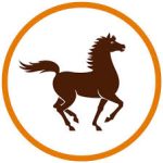 CLINIQUE LES MOINEAUX